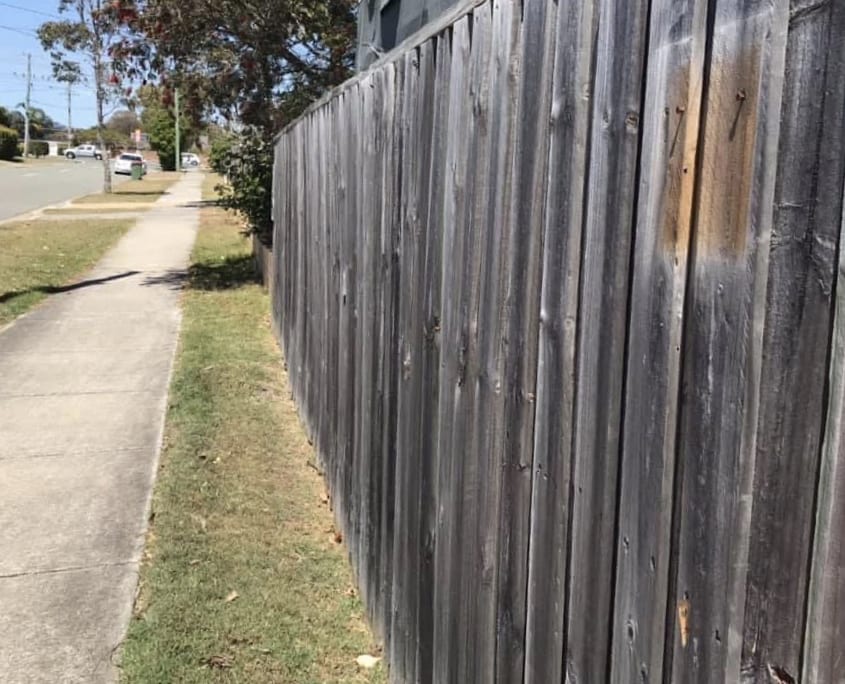 Timber Fence Cleaning - Remove organic growth from fences